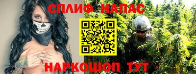 apvp Кингисепп