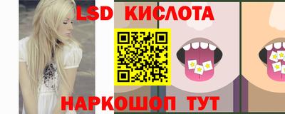 спайс Кандалакша