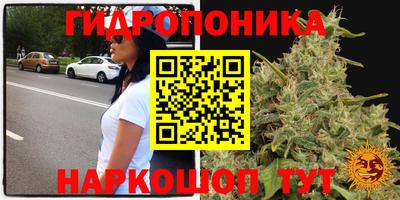 спайс Кандалакша