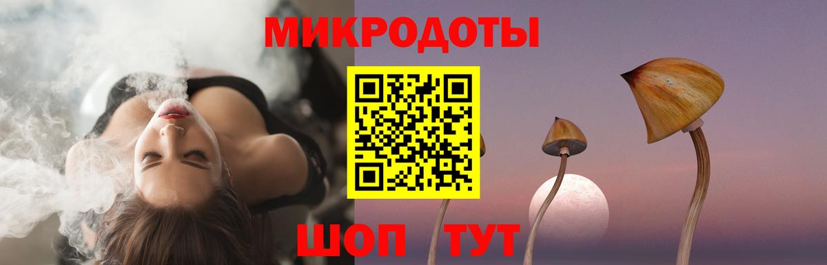 Псилоцибиновые грибы Psilocybe  Вход с VPN  Ковров 