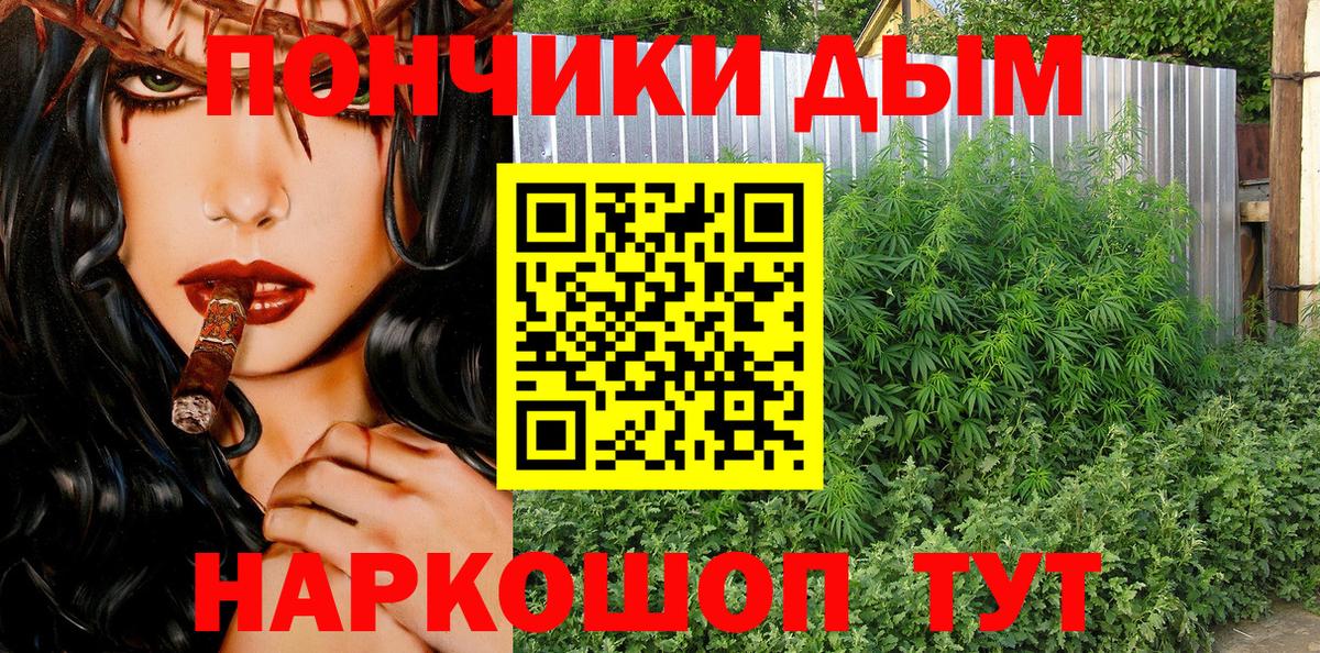 Каннабис план  Канабис OG Kush  Ковров  Бошки Шишки OG Kush  Бошки марихуана семена  Вход с VPN 